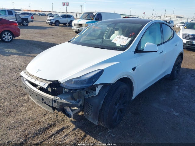 Продажа на аукционе авто 2024 Tesla Model Y Rwd, vin: 7SAYGDED1RA333873, номер лота: 44279137
