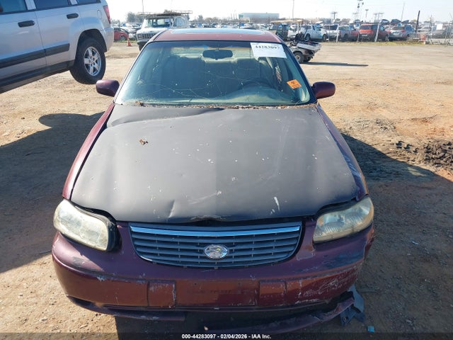 1998 CHEVROLET MALIBU 1G1NE52M2W6220081 Photo 5