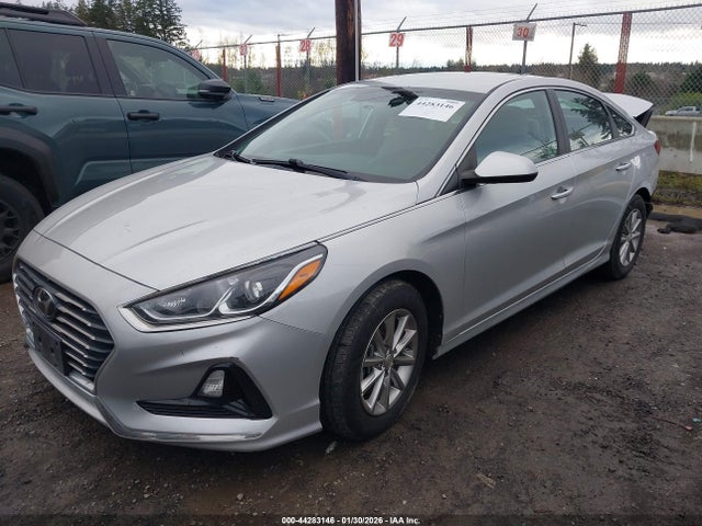 5NPE24AF4JH599919 Hyundai SONATA SE