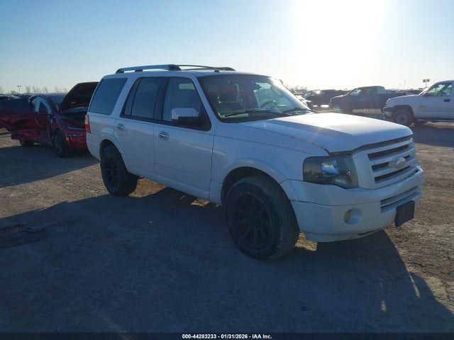 2010 FORD EXPEDITION 1FMJU1K55AEA19943