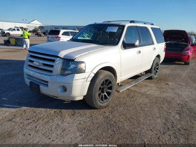2010 FORD EXPEDITION 1FMJU1K55AEA19943 Photo 1