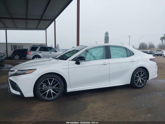 4T1T11AK3PU837923 Toyota CAMRY SE