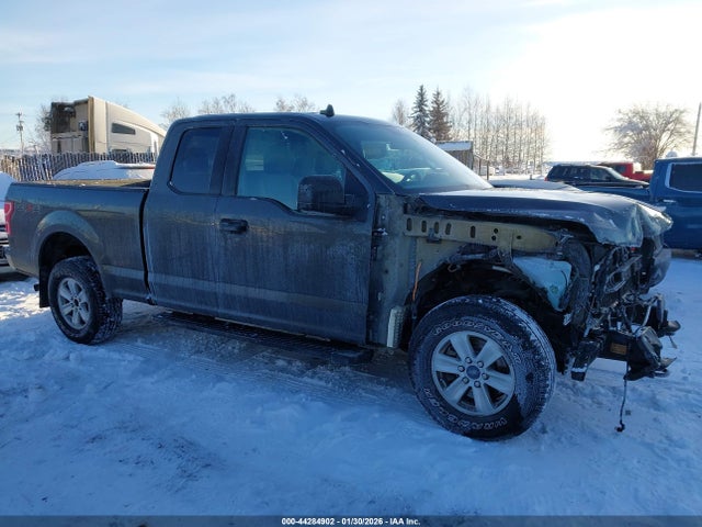 Ford F-150 Xlt 2019 1FTEX1EB2KKC70789 Image 14