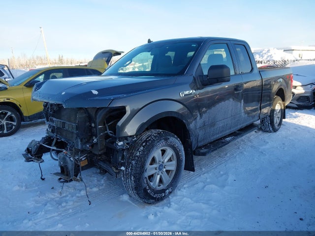 Ford F-150 Xlt 2019 1FTEX1EB2KKC70789 Image 2