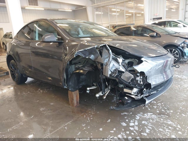 2022 TESLA MODEL Y 7SAYGDEE6NA022703 Photo 0