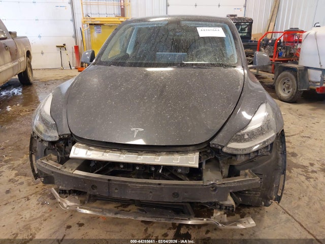 2023 TESLA MODEL Y 7SAYGDED0PF958524 Photo 5