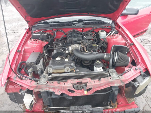 2005 FORD MUSTANG 1ZVFT84N955198333 Photo 9