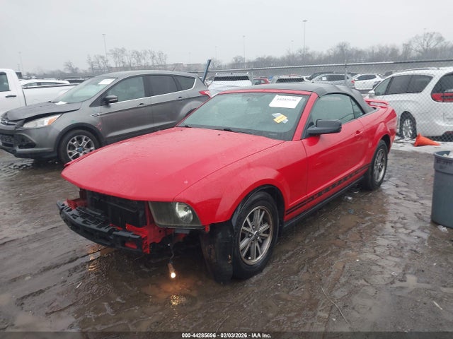 2005 FORD MUSTANG 1ZVFT84N955198333 Photo 1
