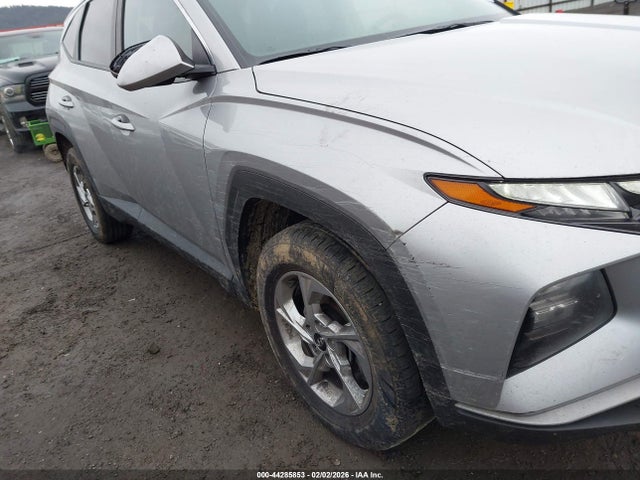 Hyundai TUCSON SEL 2024 5NMJBCDE5RH324077 Image 6