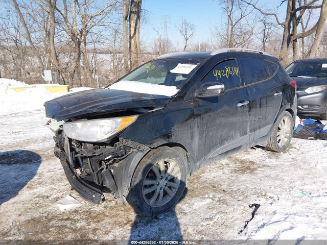 2013 HYUNDAI TUCSON KM8JU3AC9DU764183 Photo 1