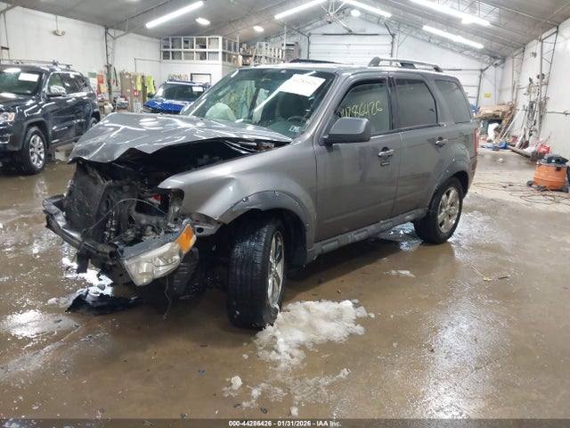 2009 FORD ESCAPE 1FMCU94719KB26586 Photo 1