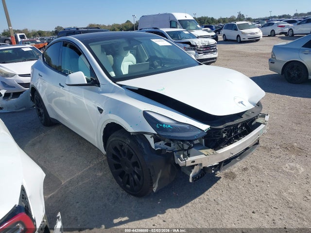 2024 TESLA MODEL Y 7SAYGDED3RF047154