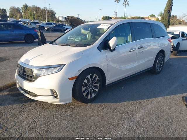 Honda Odyssey Ex-l 2023 5FNRL6H65PB076884 Image 2