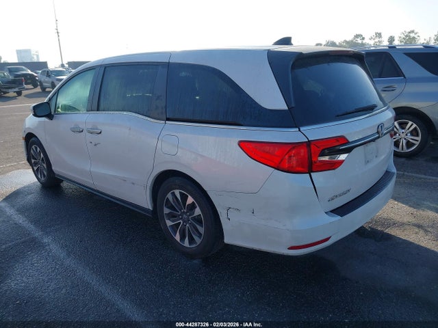 Honda Odyssey Ex-l 2023 5FNRL6H65PB076884 Image 3