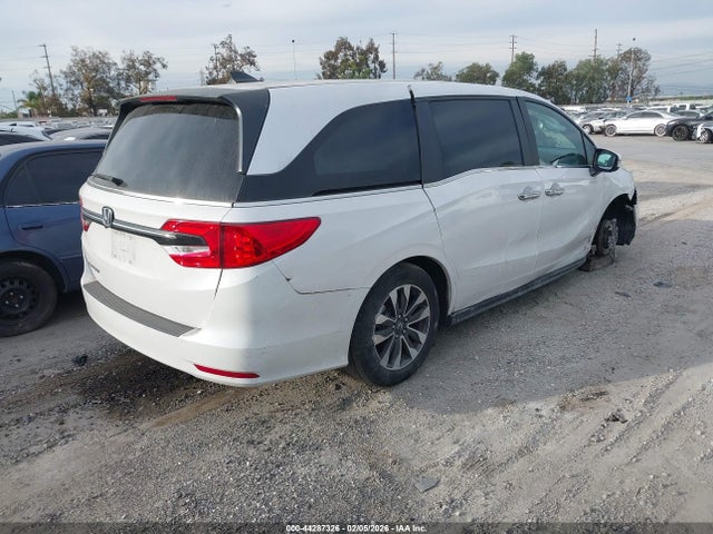 Honda Odyssey Ex-l 2023 5FNRL6H65PB076884 Image 4