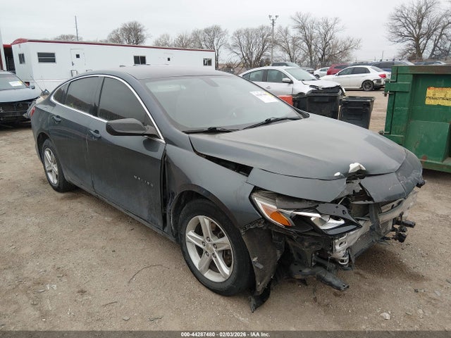 2019 CHEVROLET MALIBU 1G1ZB5ST7KF189390