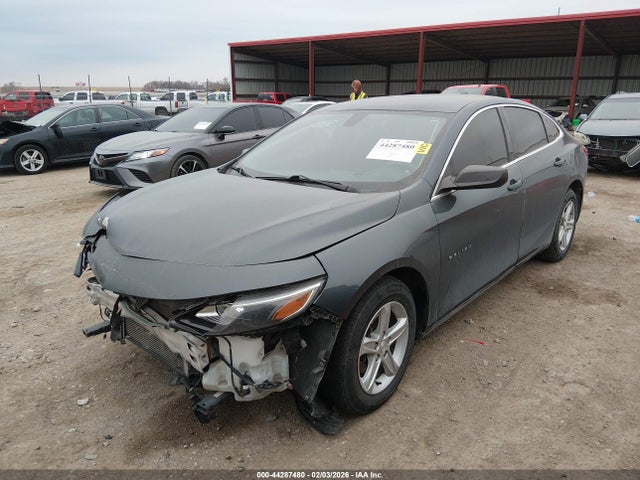 2019 CHEVROLET MALIBU 1G1ZB5ST7KF189390 Photo 1