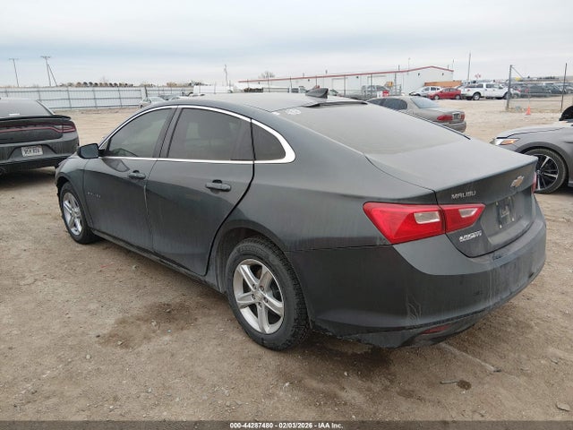 2019 CHEVROLET MALIBU 1G1ZB5ST7KF189390 Photo 2