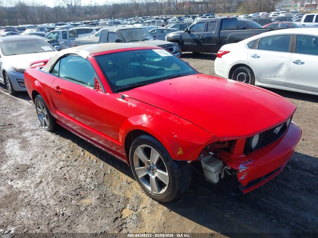 2007 FORD MUSTANG 1ZVHT85H675196768 Photo 5