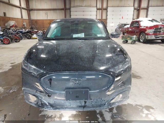 Ford Mustang Mach-e Premium 2025 3FMTK3SU1SMA40270 Image 12