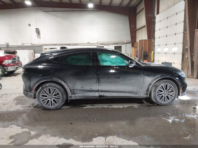 Ford Mustang Mach-e Premium 2025 3FMTK3SU1SMA40270 Image 13