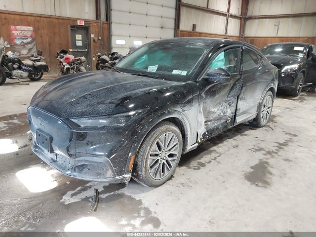 Ford Mustang Mach-e Premium 2025 3FMTK3SU1SMA40270 Image 2