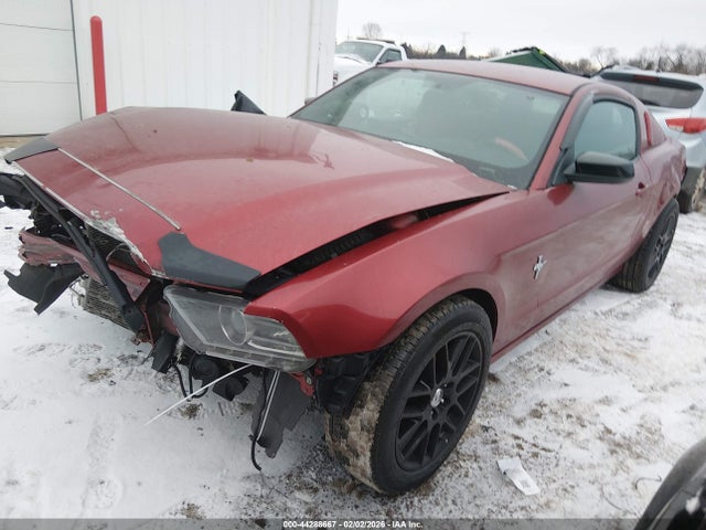 2014 FORD MUSTANG 1ZVBP8AM2E5325230 Photo 1