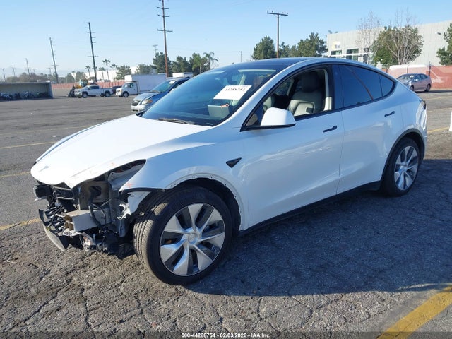 2021 TESLA MODEL Y 5YJYGDEE3MF142120 Photo 1