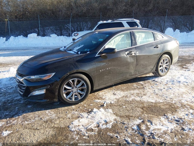 1G1ZD5ST4KF169785 Chevrolet MALIBU LT