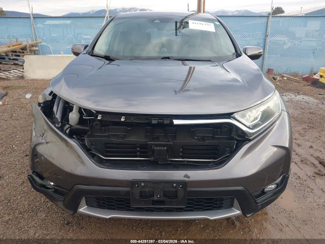 Aukcja sprzedaży 2019 Honda Cr-v Ex, vin: JHLRW2H59KX022304, numer aukcji: 44291397