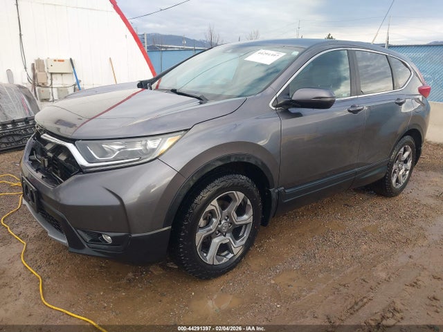 Aukcja sprzedaży 2019 Honda Cr-v Ex, vin: JHLRW2H59KX022304, numer aukcji: 44291397