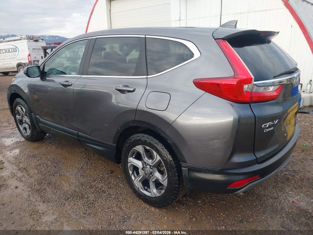 Aukcja sprzedaży 2019 Honda Cr-v Ex, vin: JHLRW2H59KX022304, numer aukcji: 44291397