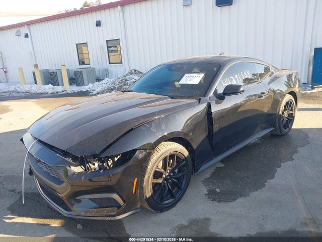 2024 FORD MUSTANG 1FA6P8TH6R5143918 Photo 1