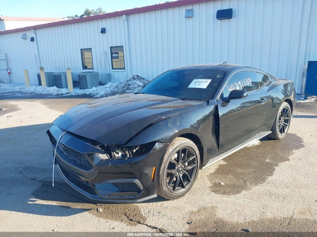 2024 FORD MUSTANG 1FA6P8TH6R5143918 Photo 5