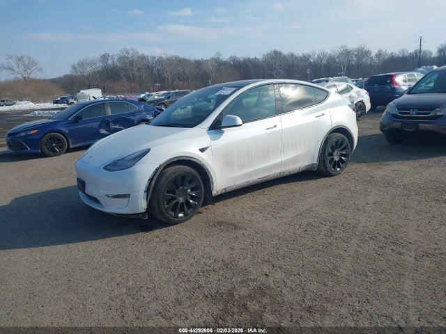 Продаж на аукціоні авто 2023 Tesla Model Y Awd/long Range Dual Motor All-wheel Drive, vin: 7SAYGDEE6PA060709, номер лоту: 44292606
