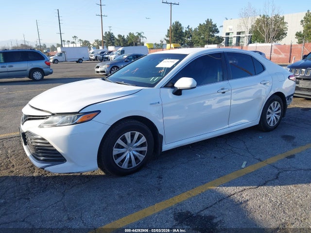 4T1B31HK6JU506434 Toyota Camry Hybrid Le