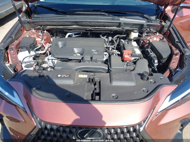 2025 LEXUS NX 250 2T2ADCAZ6SC029983 Photo 9