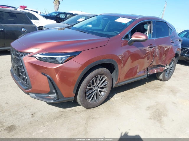 2025 LEXUS NX 250 2T2ADCAZ6SC029983 Photo 1