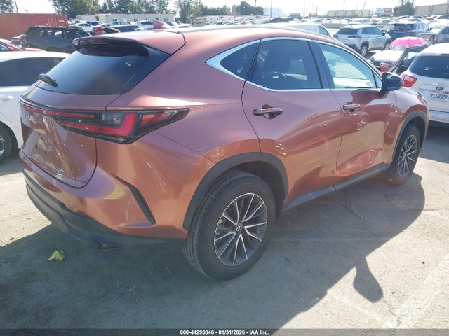 2025 LEXUS NX 250 2T2ADCAZ6SC029983 Photo 3