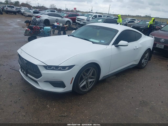 2024 FORD MUSTANG 1FA6P8TH1R5122149 Photo 1