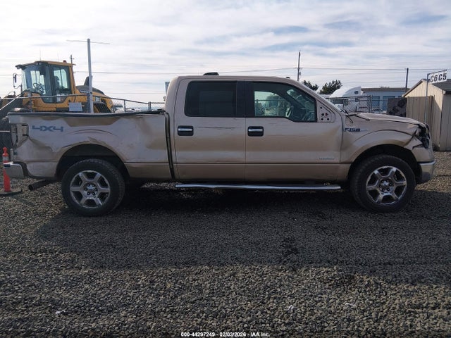 Ford F-150 Xlt 2014 1FTFW1ET2EKE64405 Image 13