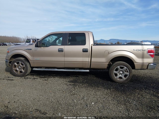 Ford F-150 Xlt 2014 1FTFW1ET2EKE64405 Image 14