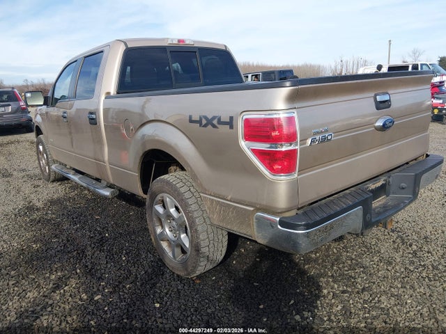 Ford F-150 Xlt 2014 1FTFW1ET2EKE64405 Image 3