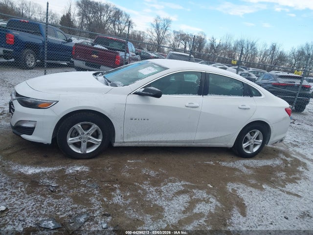 1G1ZC5ST7KF126738 Chevrolet Malibu 1fl