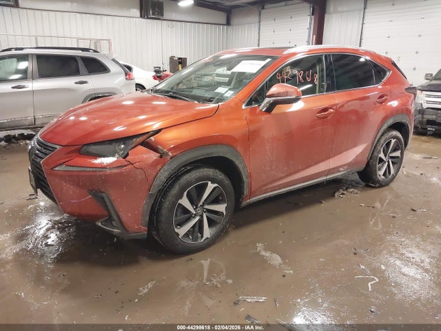 2020 Lexus Nx 300 მანქანა იყიდება აუქციონზე, vin: JTJGARDZ8L2230299, აუქციონის ნომერი: 44298618