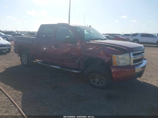 2009 CHEVROLET SILVERADO 1500 3GCEC13C79G206756