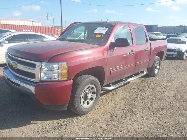 2009 CHEVROLET SILVERADO 1500 3GCEC13C79G206756 Photo 1