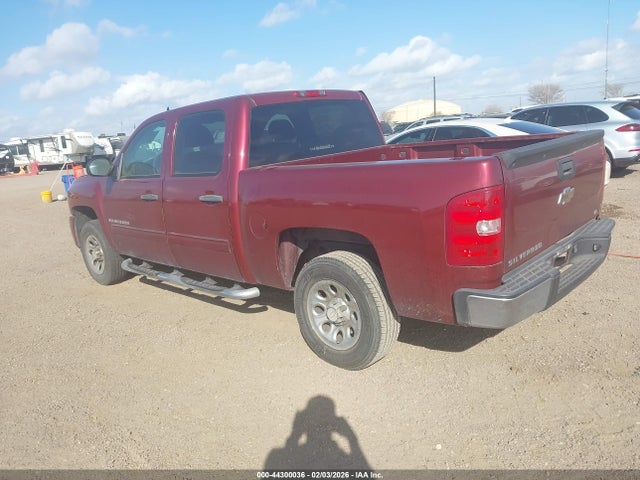 2009 CHEVROLET SILVERADO 1500 3GCEC13C79G206756 Photo 2