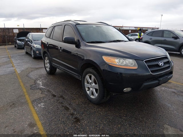 2009 HYUNDAI SANTA FE 5NMSH73E39H318094