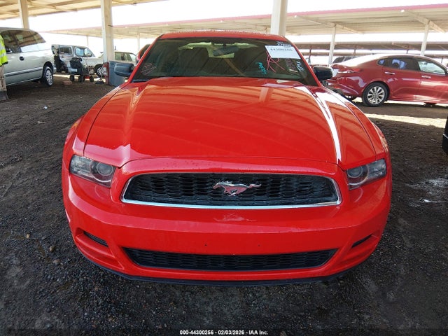 1ZVBP8AM1E5278224 Ford Mustang V6